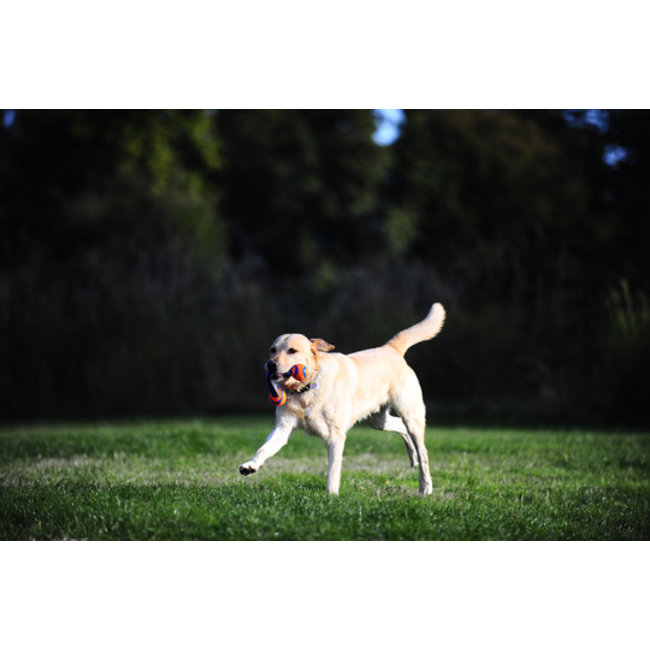 Chuckit Ultra Duo Tug M