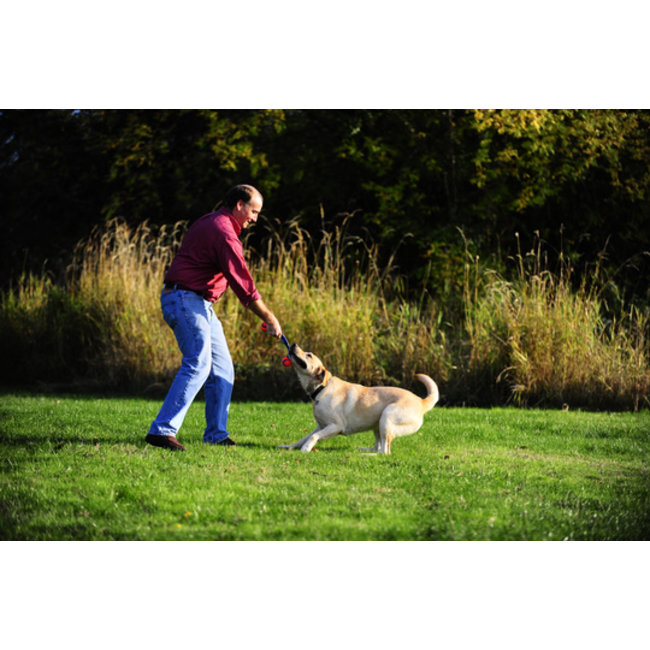 Chuckit Ultra Duo Tug M