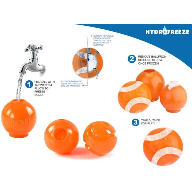 Chuckit HydroFreeze Ball