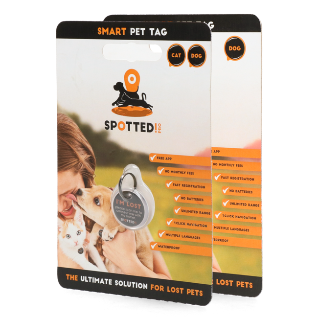 Spotted! Dog and Cat