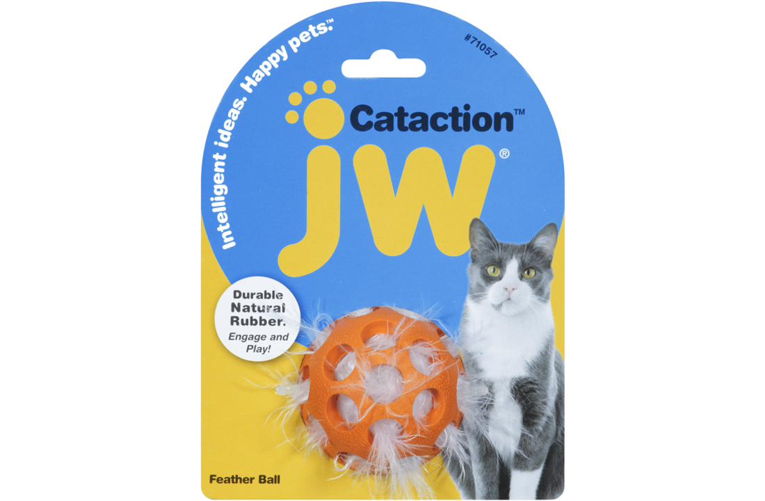 JW Cataction Feather Ball