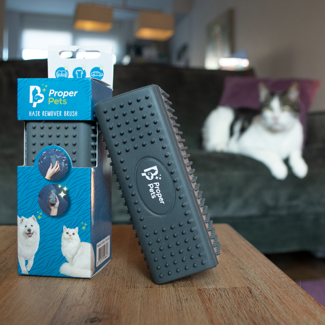 Carpet Pet Hair Remover