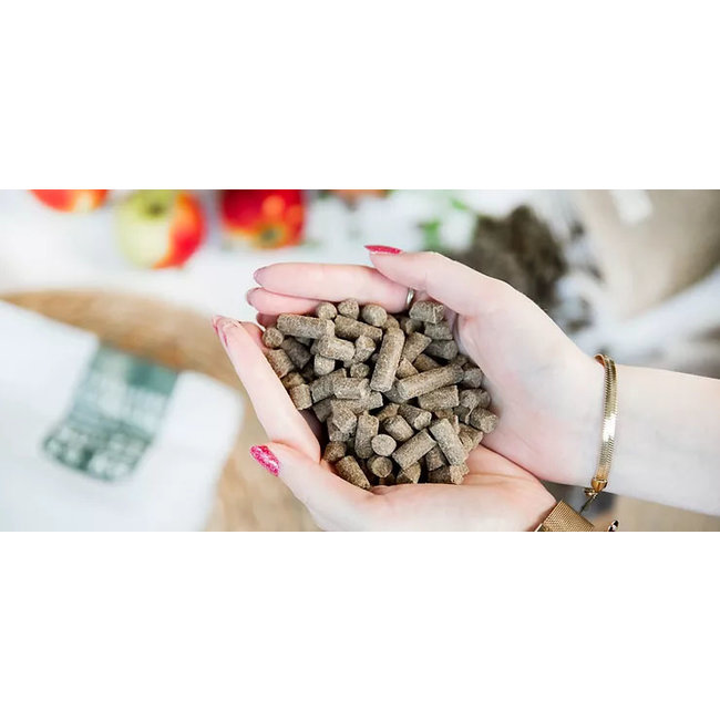 Kivo Verse Eend Graanvrij