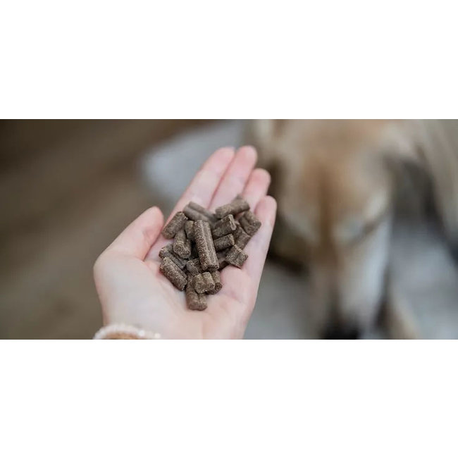 Kivo Verse Zalm Graanvrij