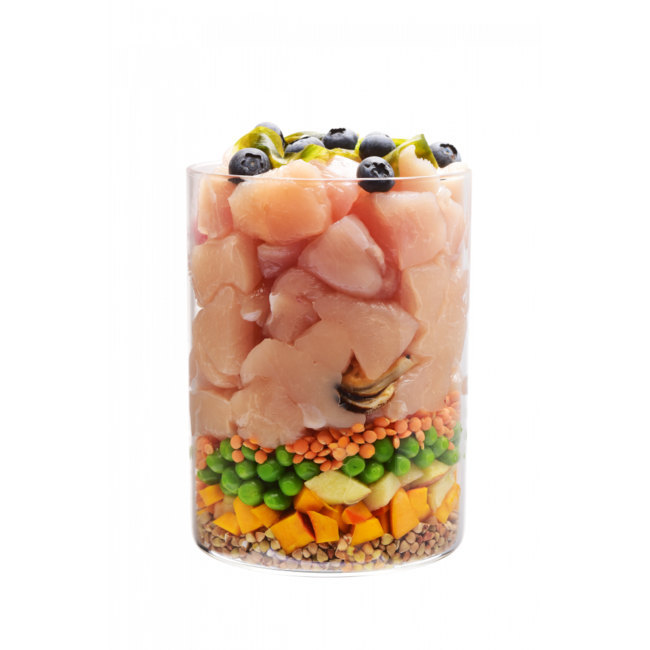 Carnilove True Fresh Chicken - Junior Large Breed