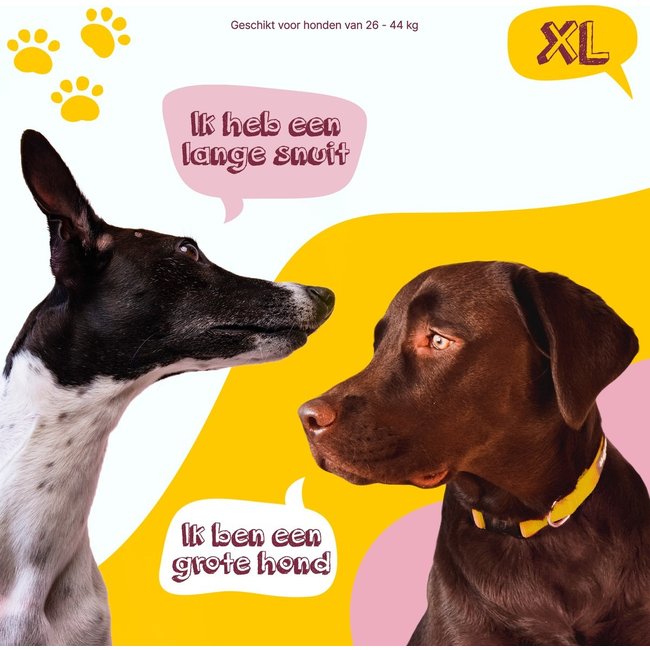 Eat Slow Live Longer Original