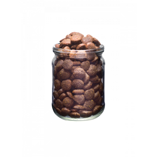 Brit Fresh Beef with Pumpkin - Puppy Large