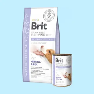 Brit Brit Veterinary Diet Gastrointestinal Herring & Pea