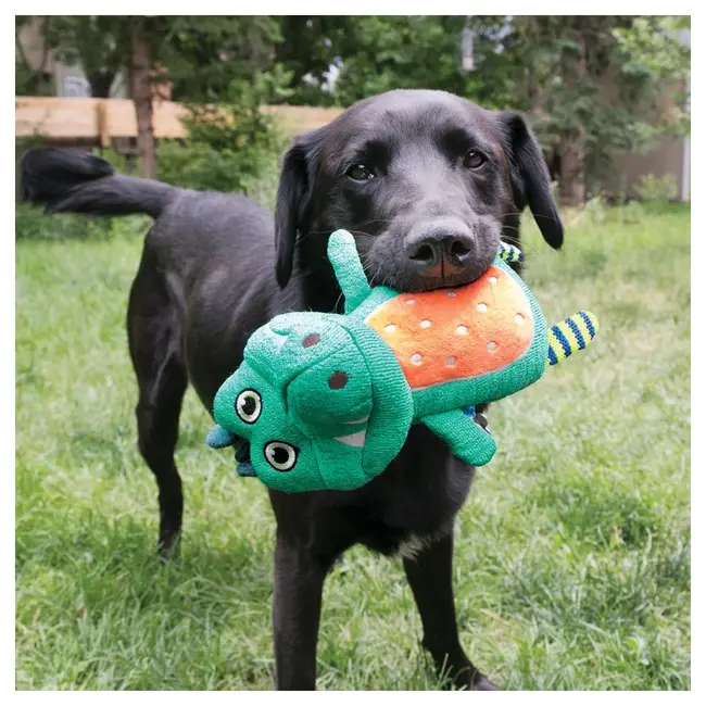 KONG Whoopz Alligator