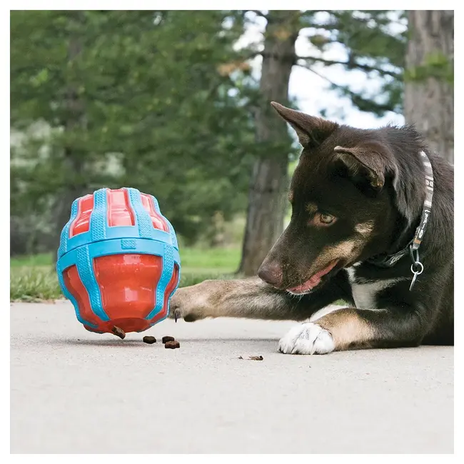 KONG Treat Spinner