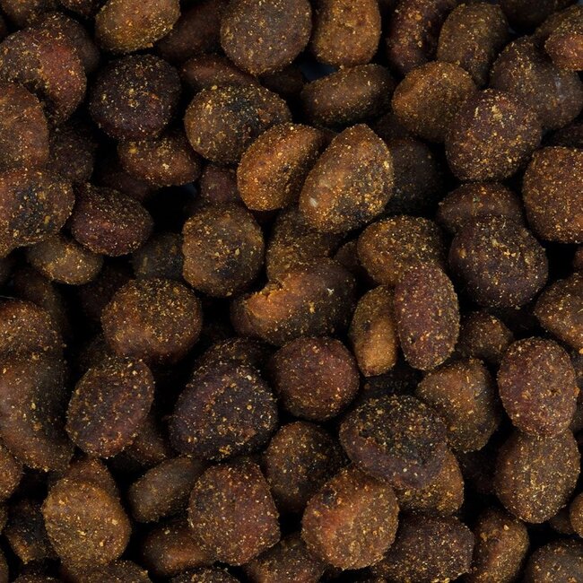 Carnilove True Fresh Cat Fish