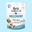 Brit Functional Snack – Recovery Herring 150g