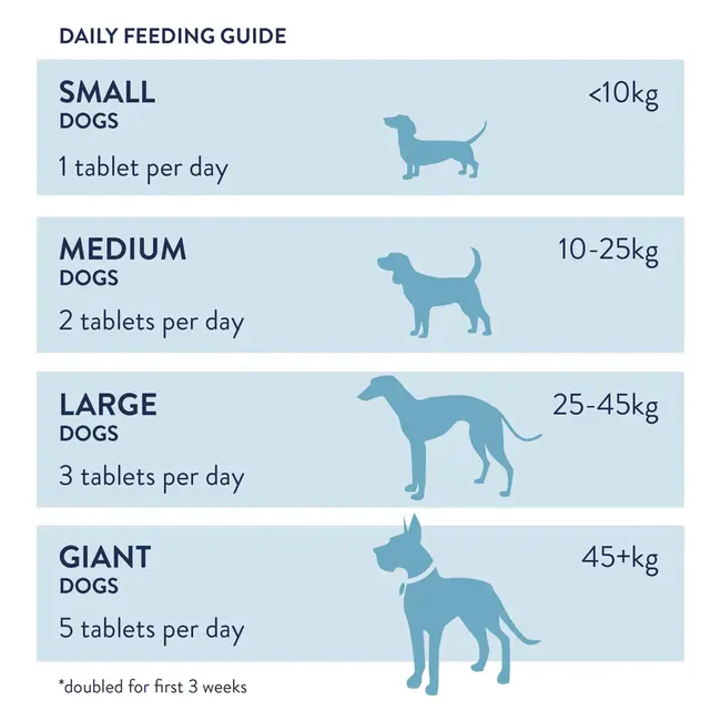 Dorwest Garlic & Fenugreek Tablets
