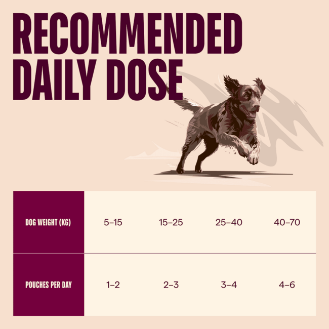 Carnilove Dog Pouch Paté Turkey & Wild Boar with Rosehips 300 g