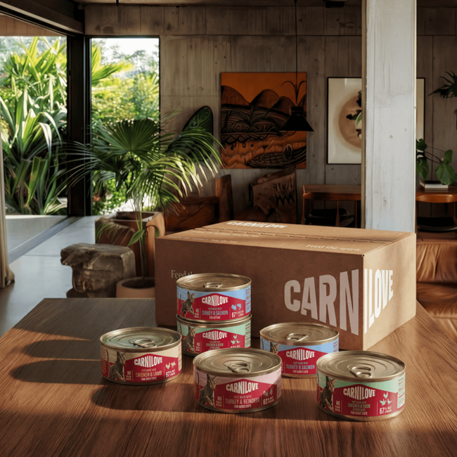 Carnilove Cat Can Paté Turkey & Salmon 12 x 100 g