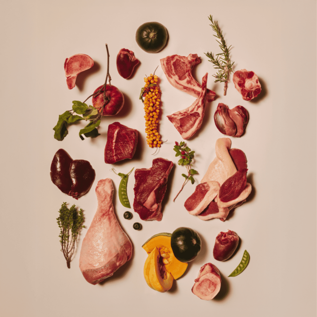 Carnilove Cat Pouch Gravy Pheasant & Raspberry Leaves 24 x 85 g