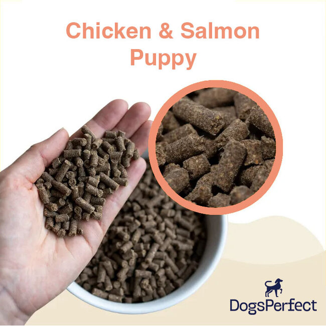 DogsPerfect Premium - Chicken & Salmon - Puppy 4 kg