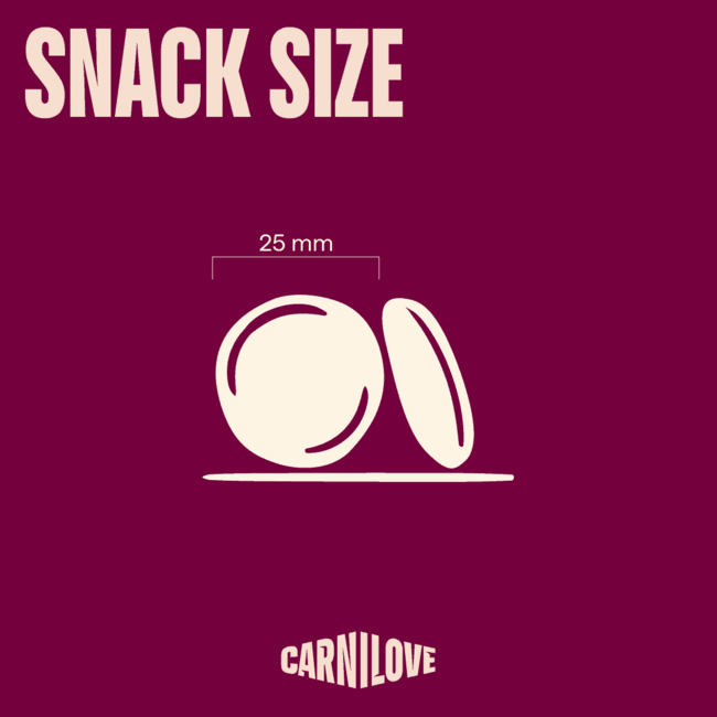 Carnilove Dog Freeze Dried Turkey 60 g