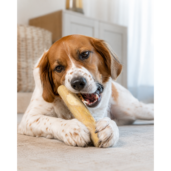 DogsPerfect Coffee wood Chew