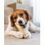 DogsPerfect Coffee wood Chew