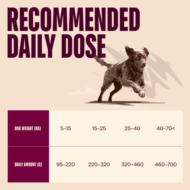 Carnilove Active Dog  Salmon for Adult