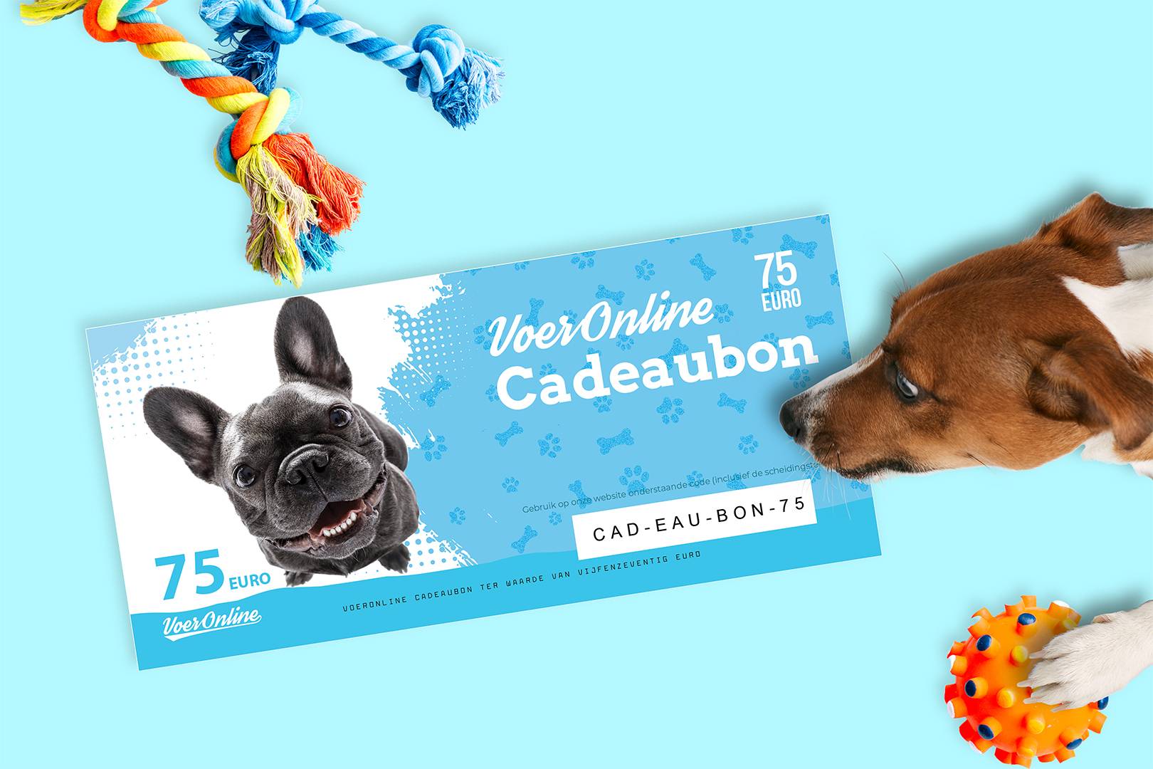 Geef een VoerOnline Cadeaubon: Het Perfecte Cadeau voor Dierenliefhebbers!