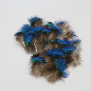 Janshop Pauwenveren blauw nek pluimen veren ongeveer 200 stuks veertjes