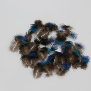 Janshop Pauwenveren blauw nek pluimen veren ongeveer 200 stuks veertjes