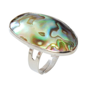 Janshop Abalone Schelp Verzilverde Ring Verstelbaar