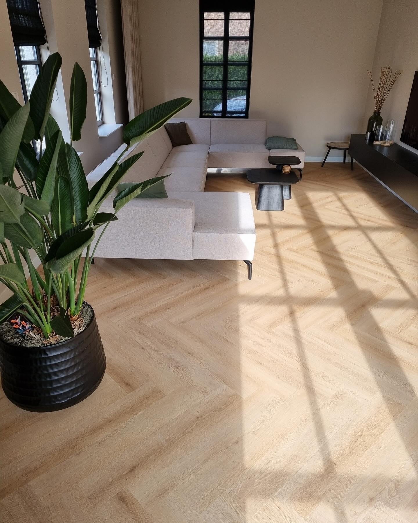 Floer Walvisgraat Cetus Crème FLR-3524 PVC