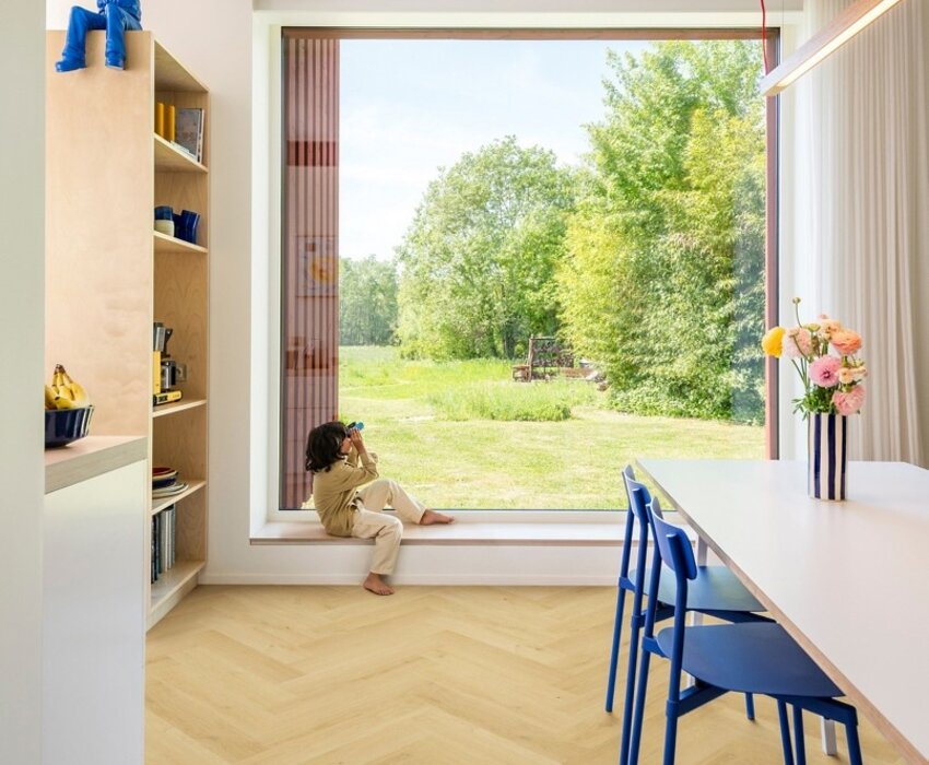 Quickstep Impressive Design IMD8243 Nootmuskaat eik