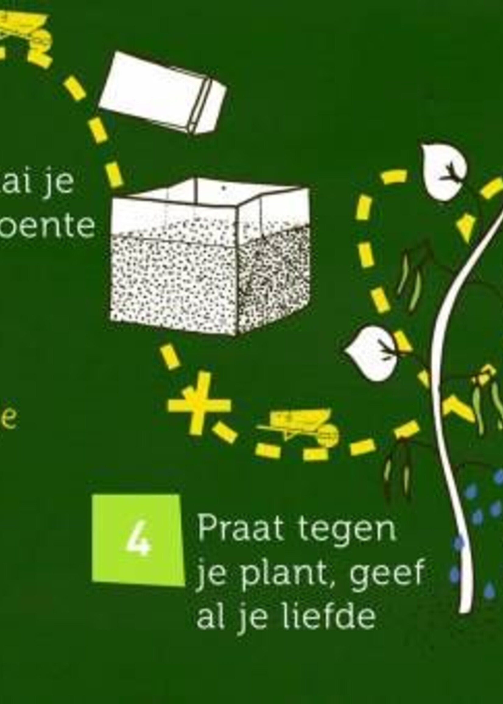 Rauwdouwers Startpakket Moestuinieren- Fluwelen tuinboon