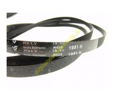 Poly-V-snaar 1951 H6