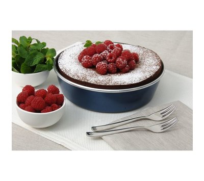 Whirlpool crispplaat voor magnetron 480131000081 AVM190