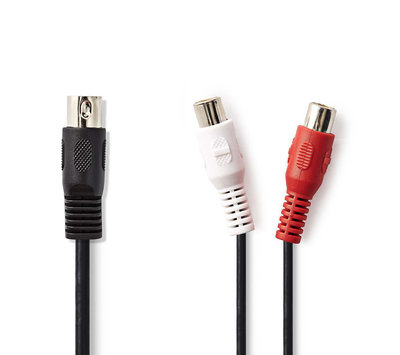 DIN Male naar 2x RCA Female 0.20 m CAGL20250BK02