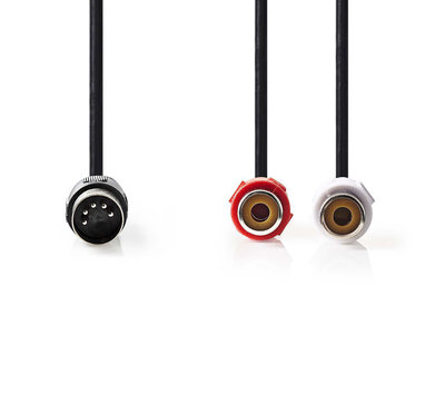 DIN Male naar 2x RCA Female 0.20 m CAGL20250BK02