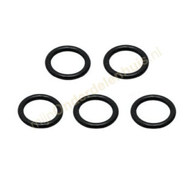 Karcher O-ring set van hogedrukreiniger 2.880-990.0