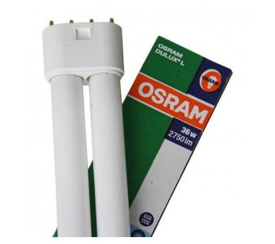 Osram Dulux L lamp 36W/840 2G11