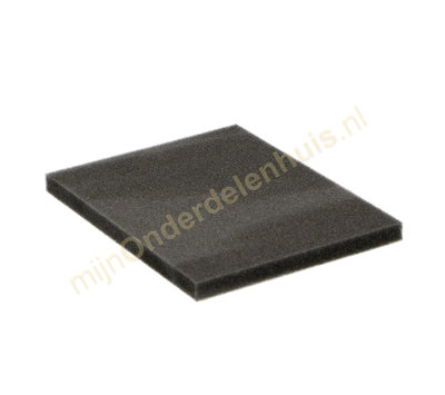 Philips filter van stofzuiger 432200039691