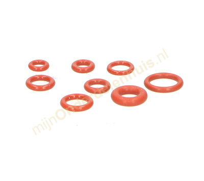 Saeco set O-ringen voor koffiemachine 31330
