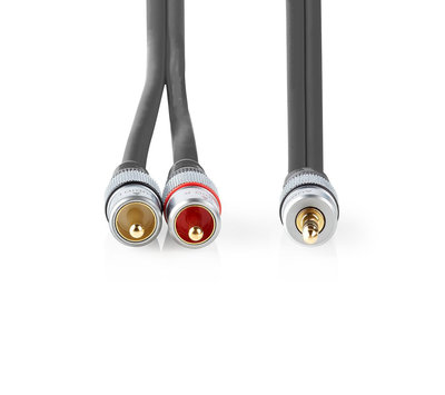 3.5mm jack naar 2x RCA kabel 5m CAGC22200AT50