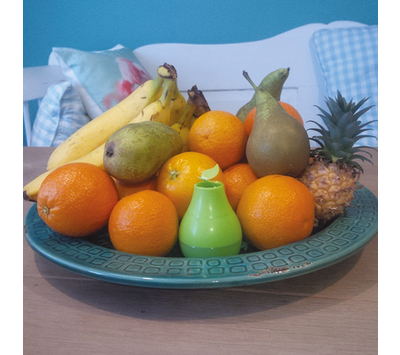 HG fruitvliegjesval 626002100