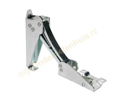 Candy scharnier van koelkast 49010812