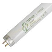 Osram Osram TL buis T8 18W/827