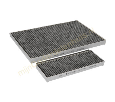 Bosch koolstoffilters van afzuigkap 17005802