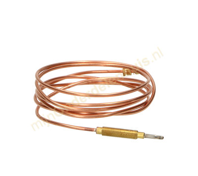 Boretti thermokoppel van fornuis A49016