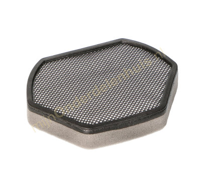 Bosch filter van stofzuiger 12012937