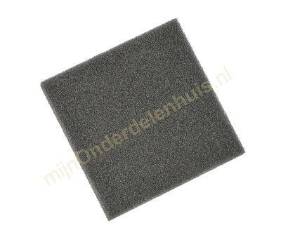 Bosch filter van stofzuiger 00483333