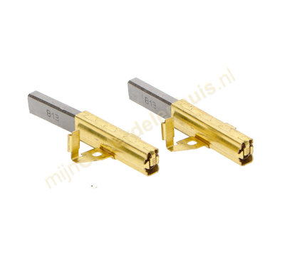 Karcher koolborstels van stofzuiger 6.610-258.0