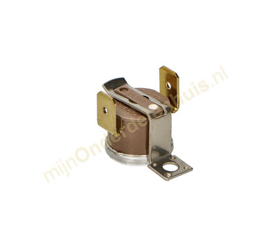 Boretti thermostaat van fornuis A49239